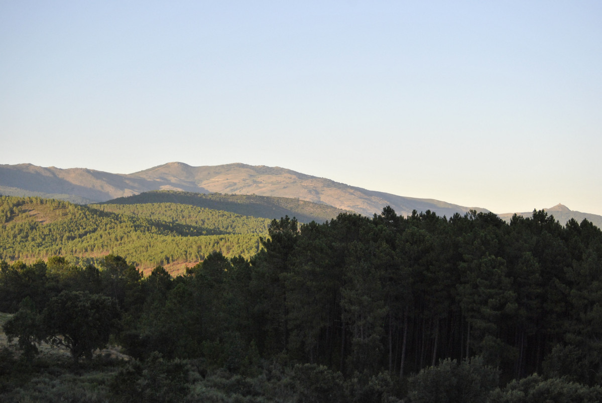 Sierra desde Acebo