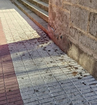 Acerassucias