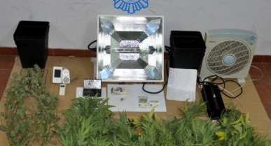 Marihuanabejar