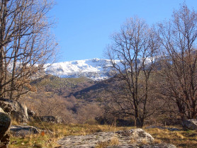 Bejar