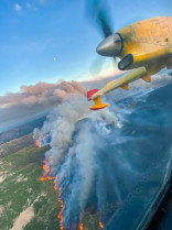 Foroavionjerte