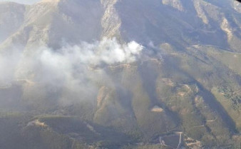 Incendiohervas