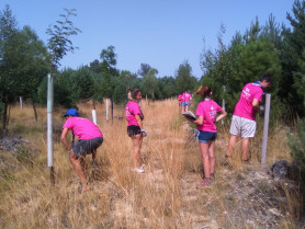 Voluntariadoambiental2