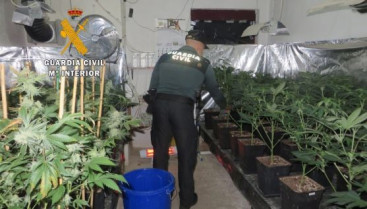 Plantacion marihuana guardia civil