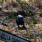 2022 07 29 detenido incendio forestal caceres 03