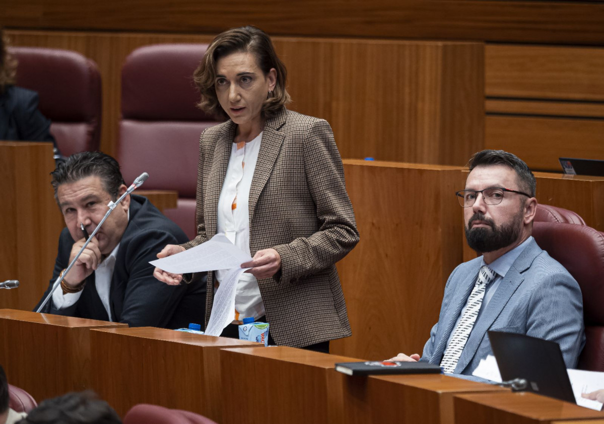 Alicia Gallego (UPL), formulando su pregunta en pleno sobre el Plan de Reindustrializaciu00f3n de Bu00e9jar