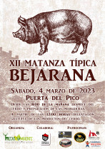 Cartel matanza típica 2023