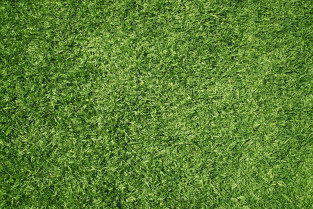 Lawn g03ce21024 1280