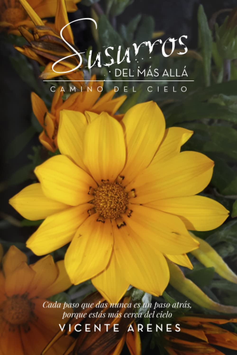 CHVibHMyNzAzOTRvcmRlcmltZ3NlbGZzZXJ2aWNl