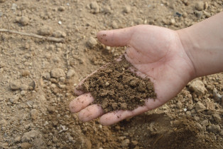Soil 766281 1280