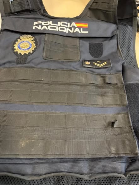 626279477 18301564228287622 8721392529575575296 n