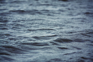 742787 water 824418