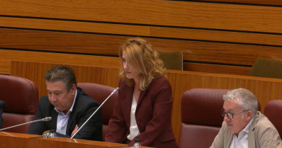 La procuradora de UPL, Rosa María Quintanilla, durante su intervención en Cortes.